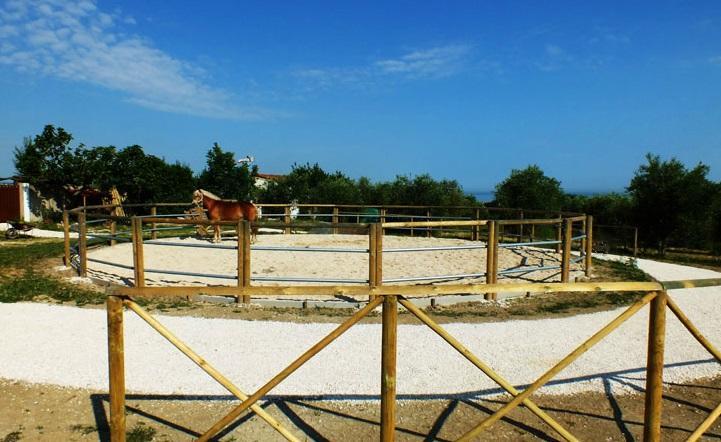 Bauernhof La Casa Della Lavanda - Il Rustico Marina di Montemarciano